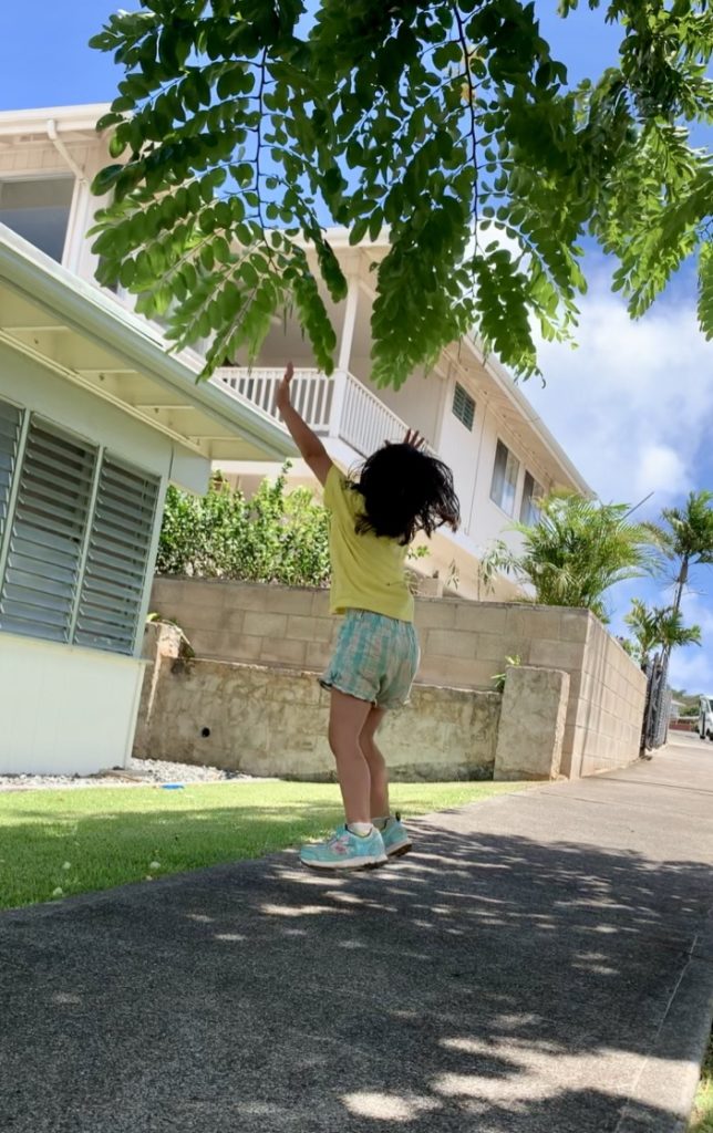 バス停への道中の木ですら遊びだす娘