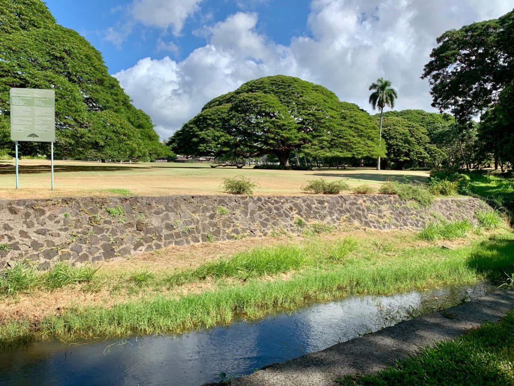 小川の写真