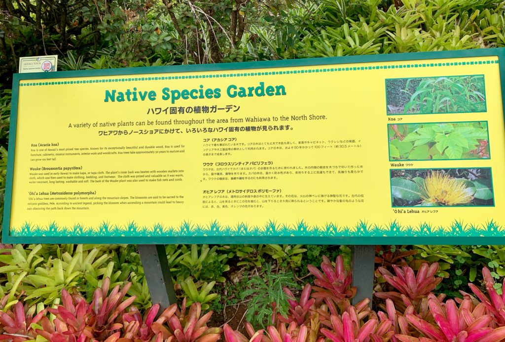 ハワイ固有の植物ガーデンを紹介した看板