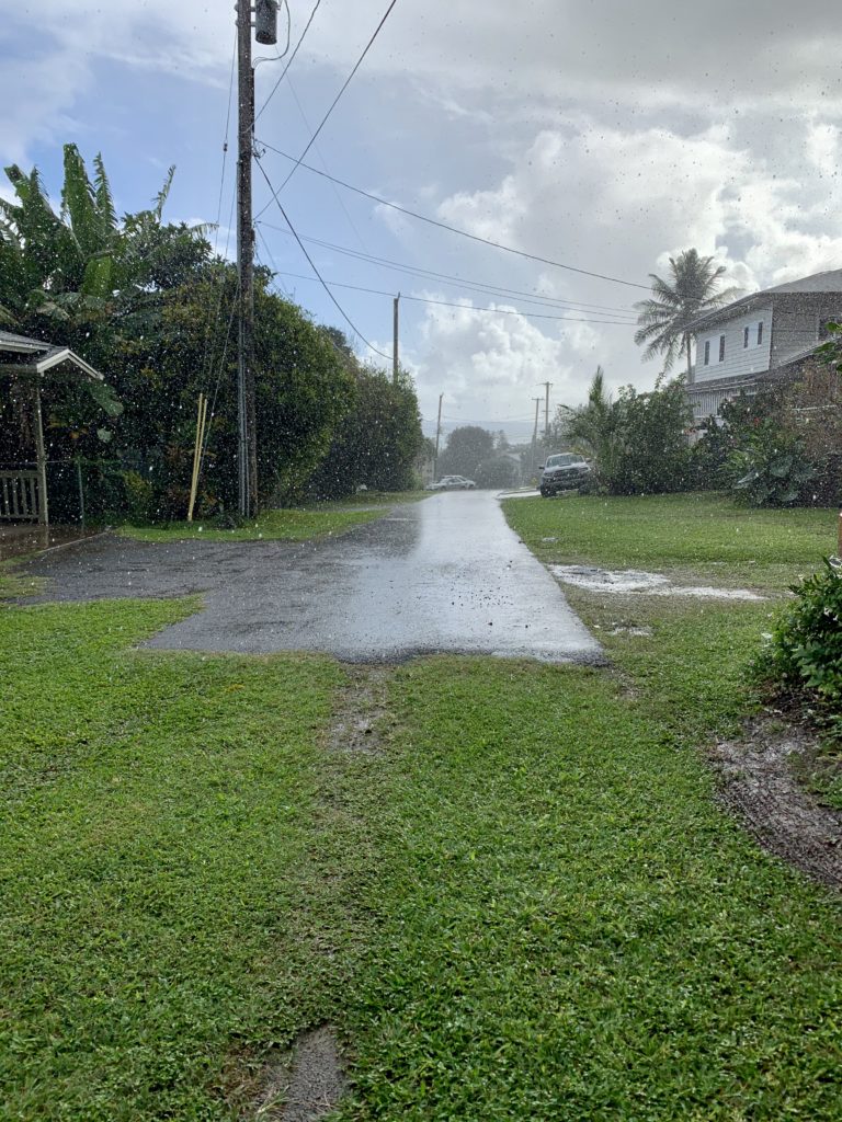 雨が降っている