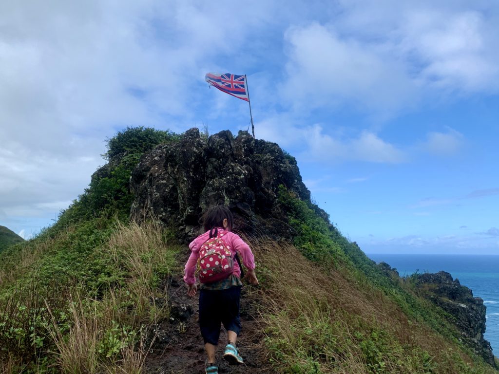 ハワイ国旗のある山