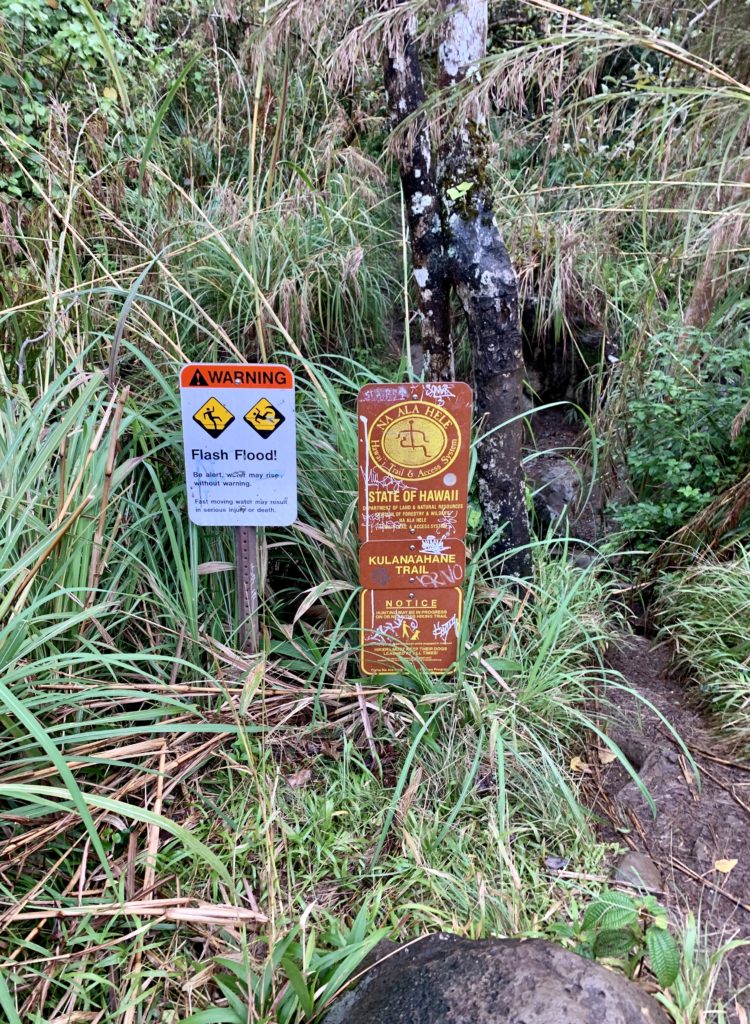 週の管理するトレイルの看板が現れる