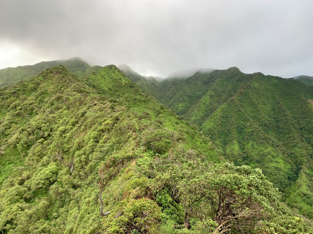 目指す山は雲の中にある