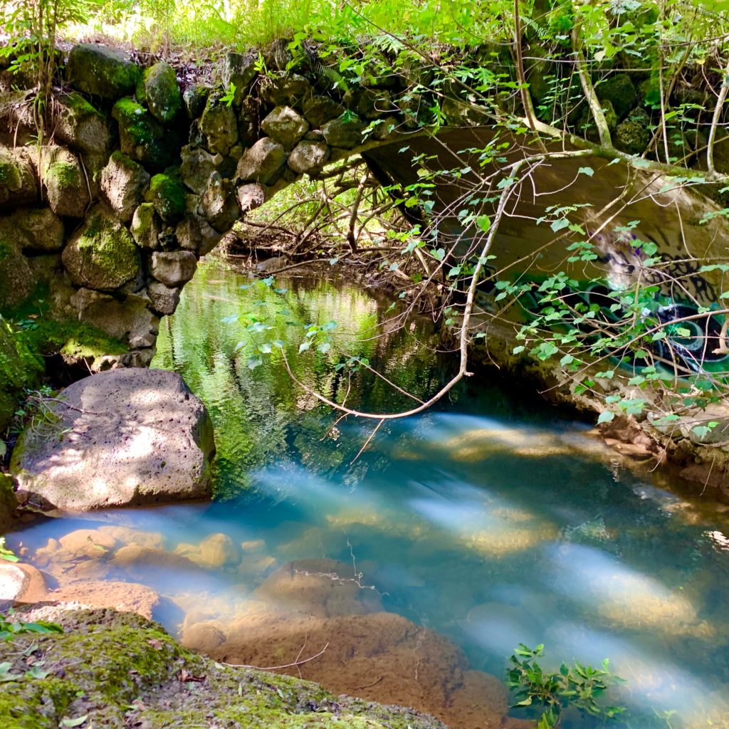 小川にかかる橋
橋の下の水が神秘的な色をしている