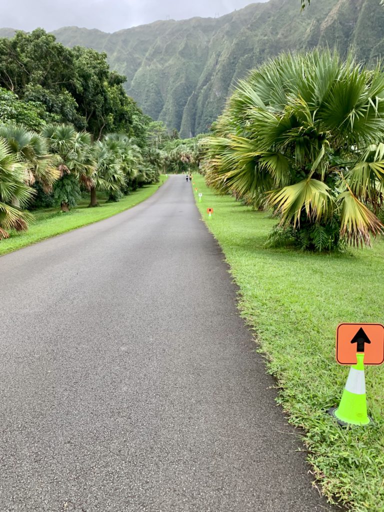 背景には大きなコオラウ山脈、両側には植物のある一本道