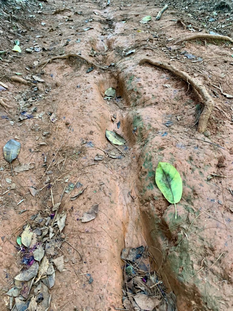 足元は赤い粘土質の土