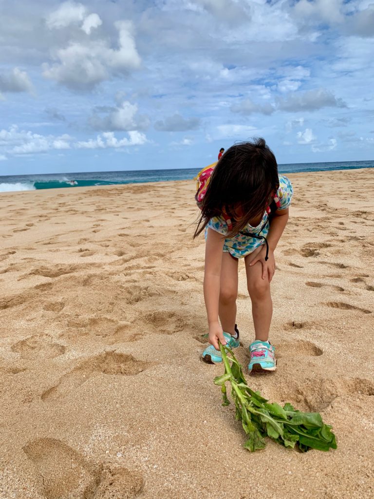 砂浜を葉のホウキで掃除する娘