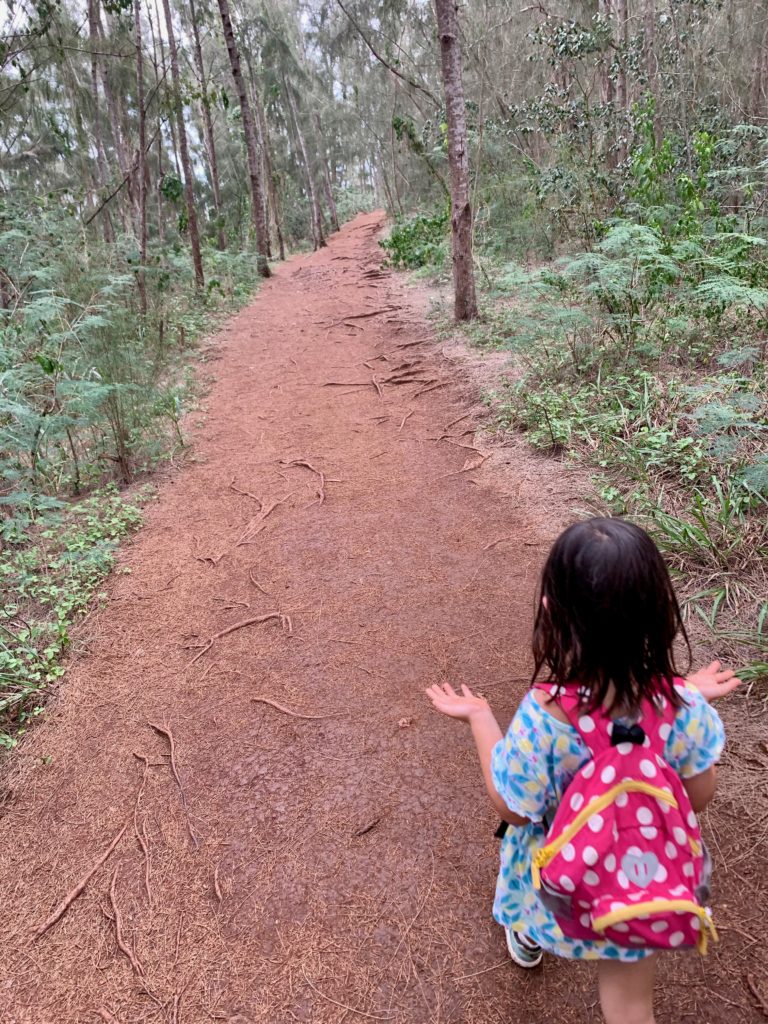 松の道
雨が降ってきた