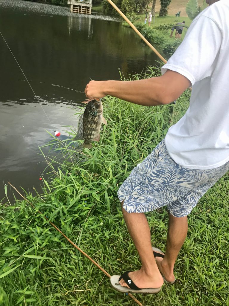 黒い魚が釣れた