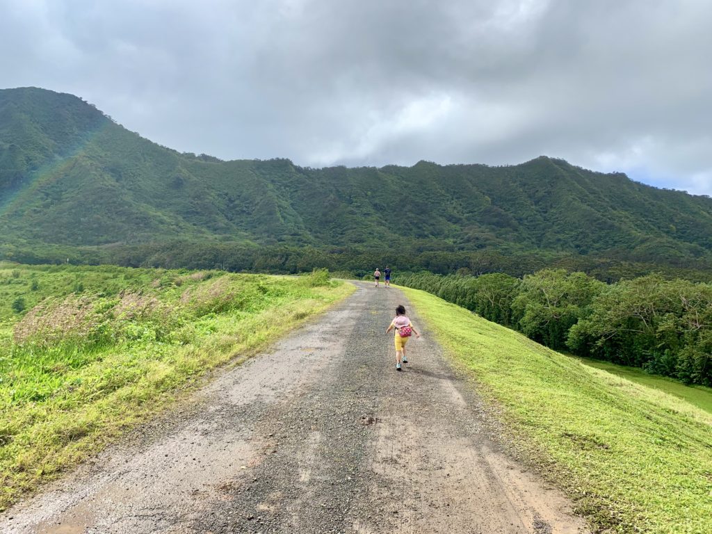 丘の上の広い砂利道