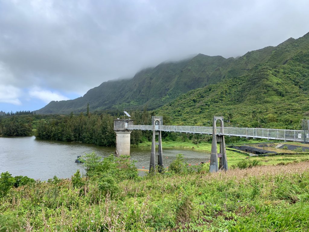 湖と橋