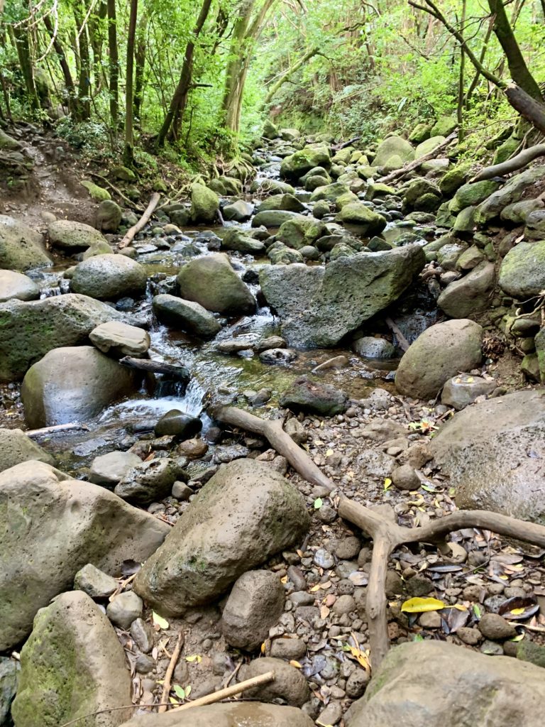 石と岩のたくさんある川