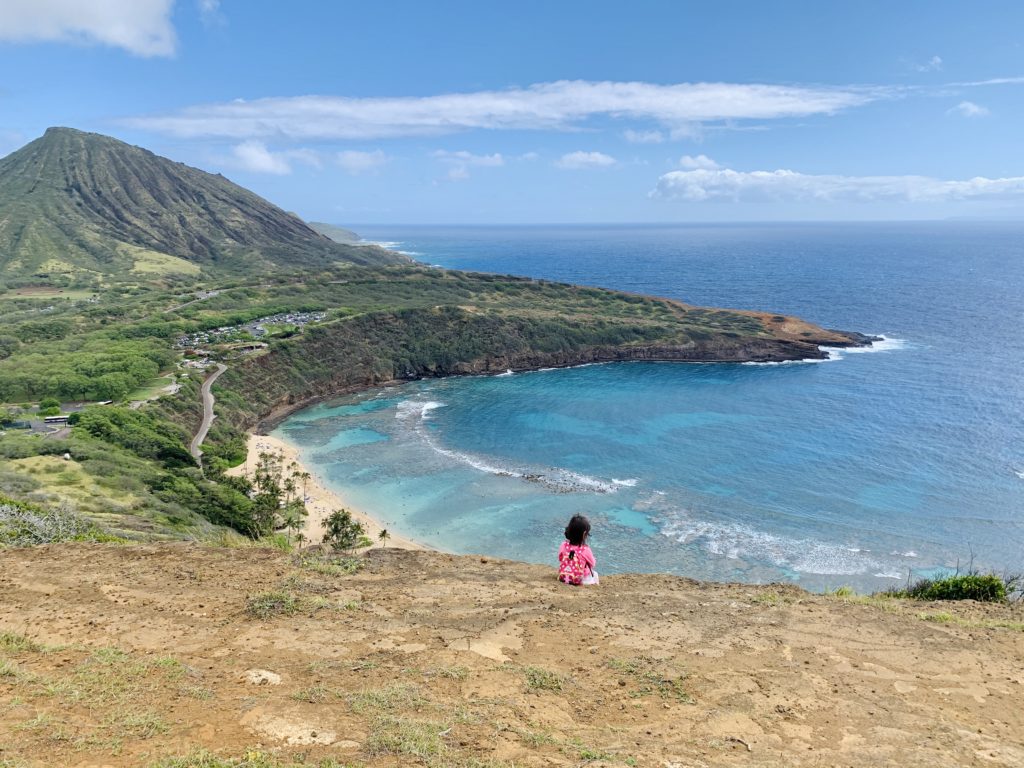 絶景ポイントからの眺め
海と山がきれいに見える