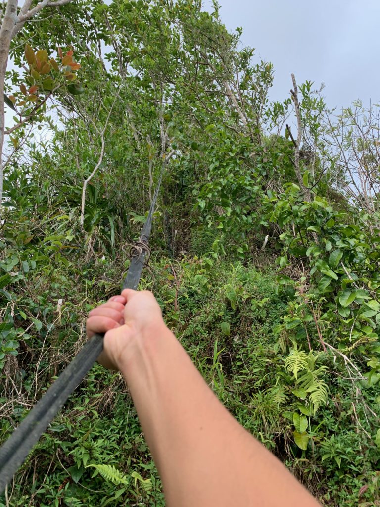 ロープの角度がかなり急になってきている。
ロープの先は植物に飲み込まれ見えなくなるほど植物が茂っている