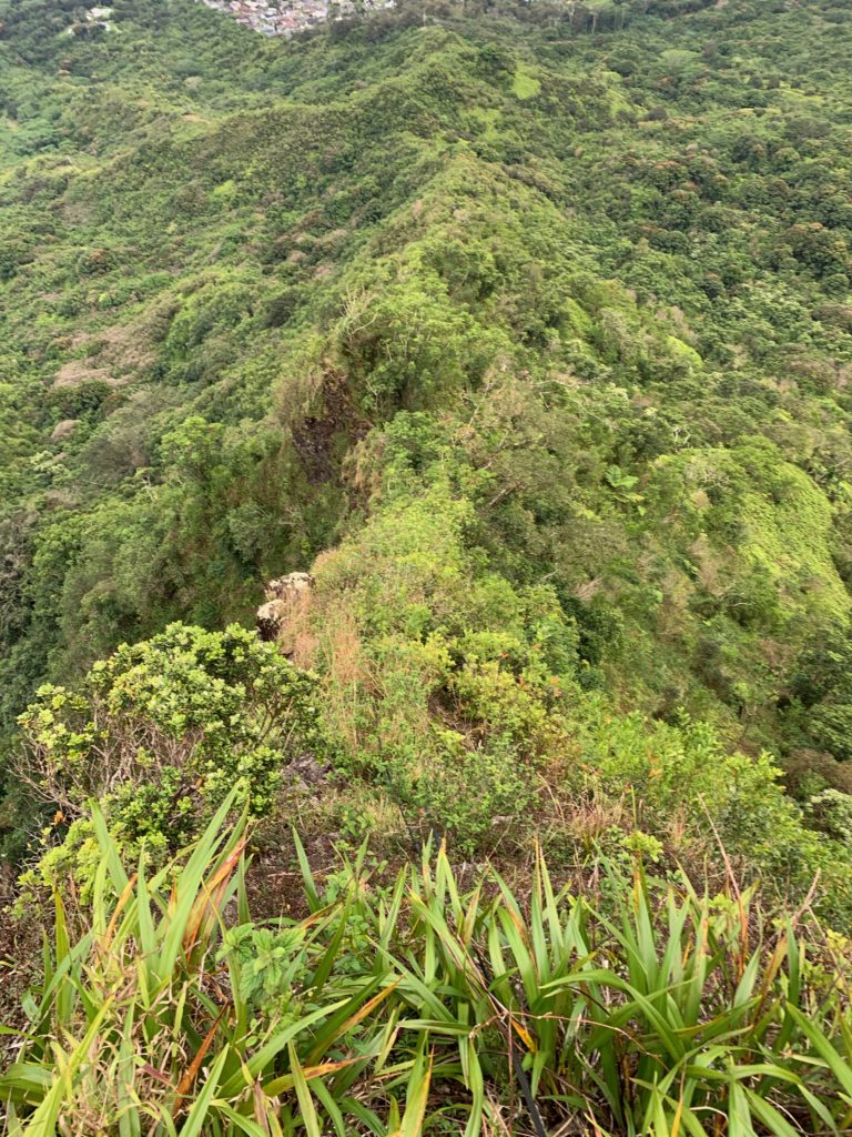 登ってきた尾根道
とても急勾配