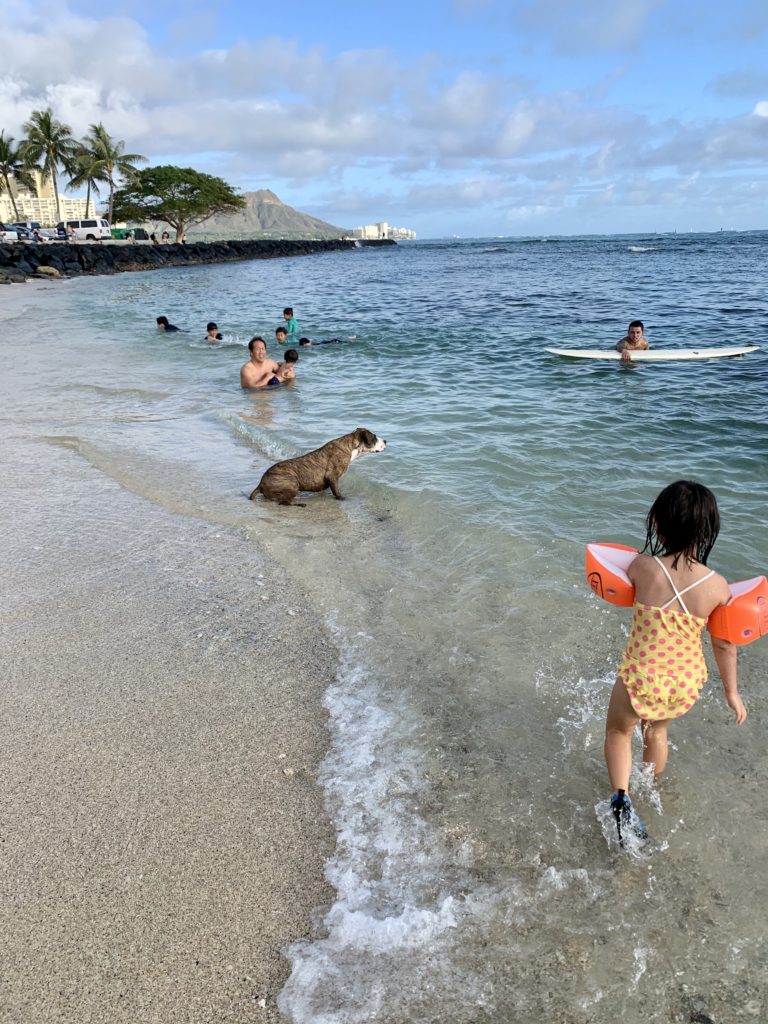 サーファーズビーチで遊ぶ家族と犬と娘
サーファーもいる