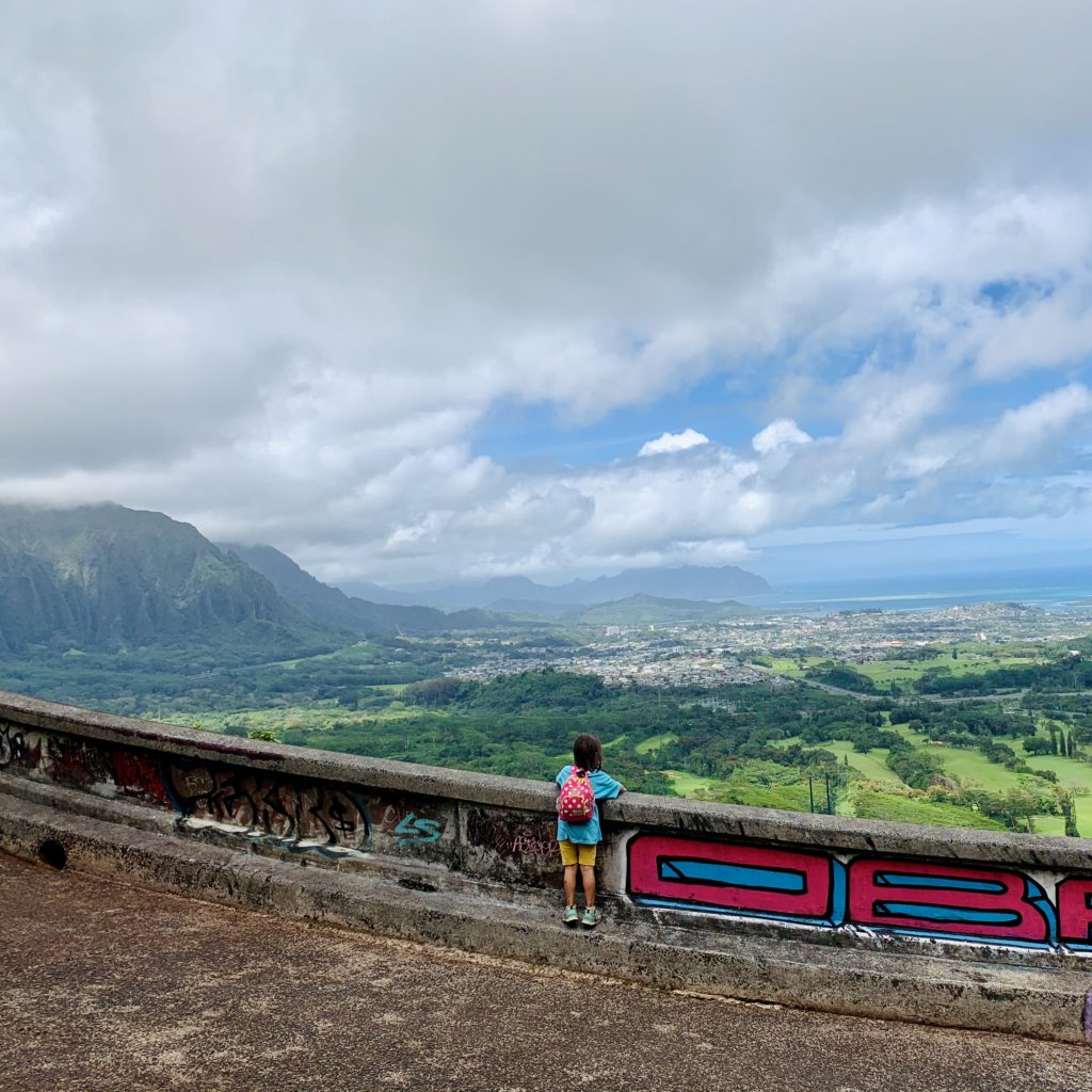 コオラウ山脈とカイルアの海が見渡せる絶景