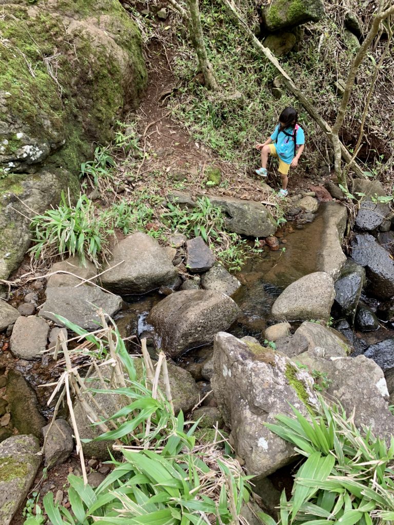 川の上の石を渡って狭い急斜面を進む道