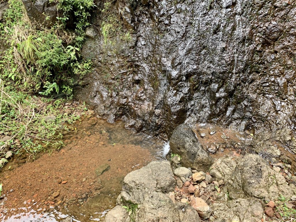 滝つぼの様子
とてもちいさくほぼ水たまり