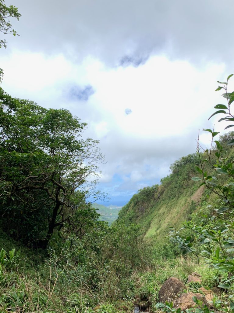 滝壺からきた道を振り返ると、遠くの海が見える。
両脇に山があり凹んだ部分にいることがわかる。