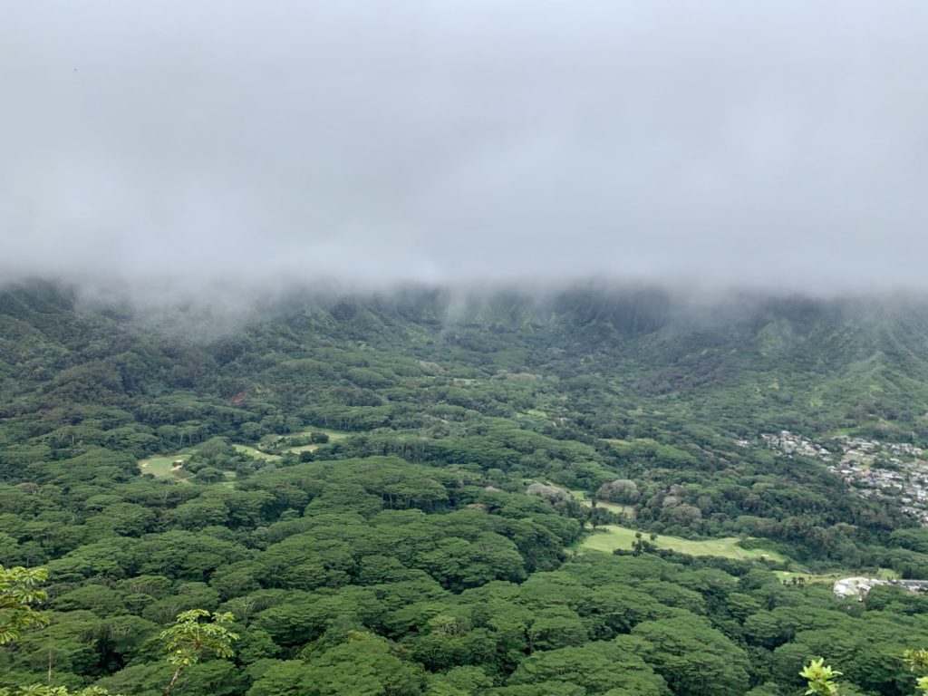 雲にすっかり隠れているコオラウ山脈