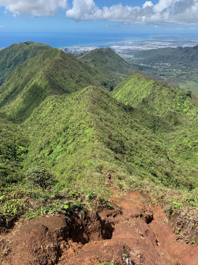 尾根道を降りていく人