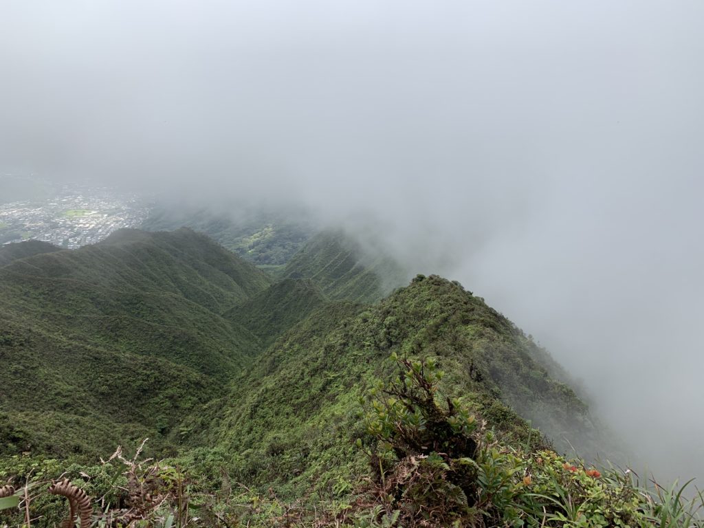 ホノルル方面にも雲が回ってきたため、これから歩いて帰る山脈も真っ白な雲に覆われている