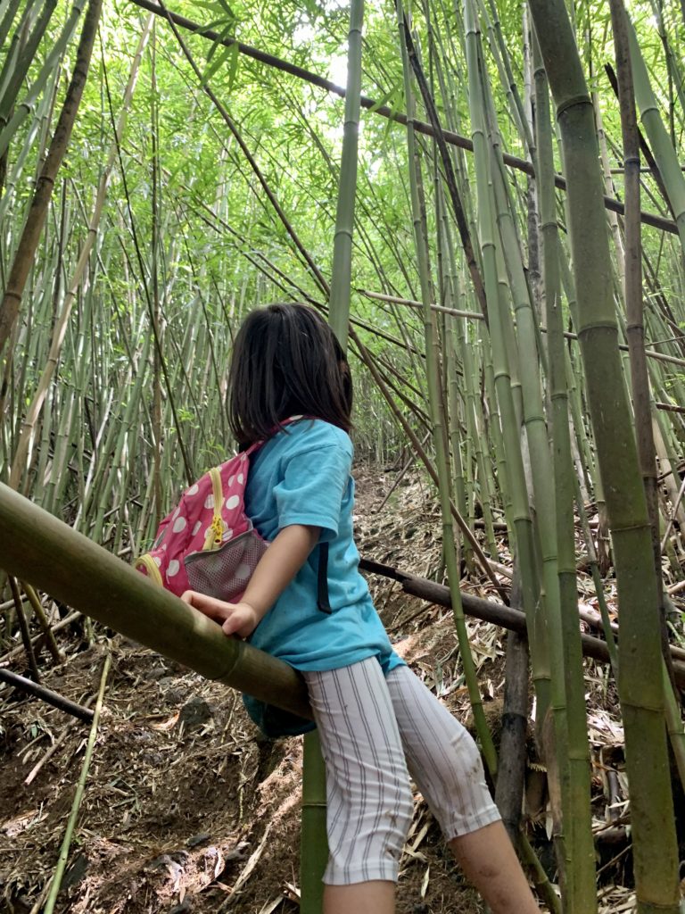 竹に座る娘